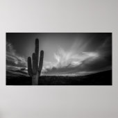 zwarte woestijn poster (Voorkant)