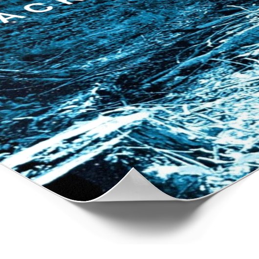 Zwarte Wolf Alone in het bos Poster (Hoek)