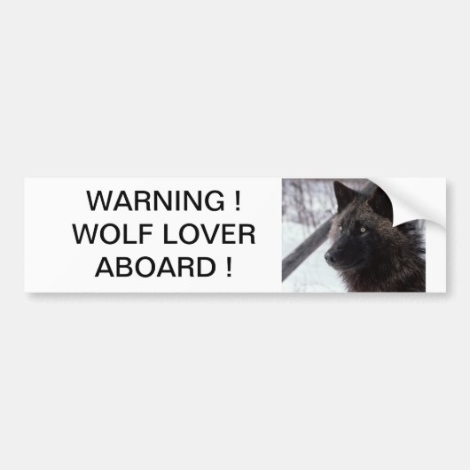 Zwarte Wolf Bumpersticker (Voorkant)
