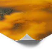 Zwarte Wolf Duitse Herder Hond Poster (Hoek)