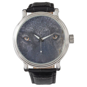 Zwarte Wolf Gezicht Wildlife Horloge