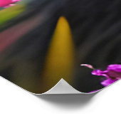 Zwarte wolf in roze bloemen poster (Hoek)