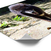 zwarte wolf poster (Hoek)