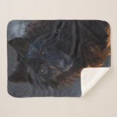 Zwarte wolf sherpa deken (Voorkant (horizontaal))