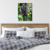 Zwarte Wolf Stretched Canvas Print (Insitu (Slaapkamer))