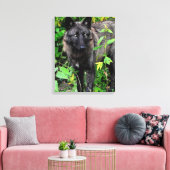Zwarte Wolf Stretched Canvas Print (Insitu (Woonkamer))