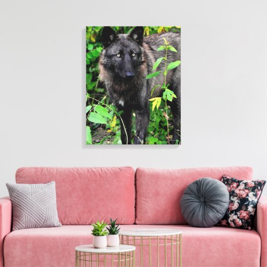 Zwarte Wolf Stretched Canvas Print (Insitu (Woonkamer))