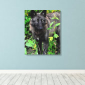 Zwarte Wolf Stretched Canvas Print (Insitu (Houten vloer))