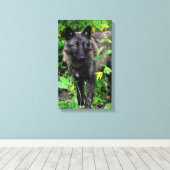 Zwarte Wolf Stretched Canvas Print (Insitu (Houten vloer))