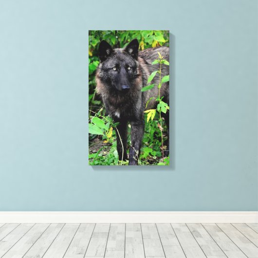 Zwarte Wolf Stretched Canvas Print (Insitu (Houten vloer))
