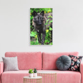 Zwarte Wolf Stretched Canvas Print (Insitu (Woonkamer))