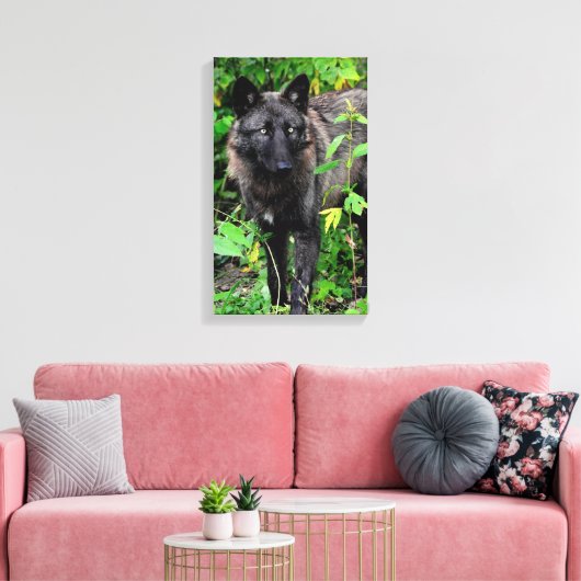 Zwarte Wolf Stretched Canvas Print (Insitu (Woonkamer))
