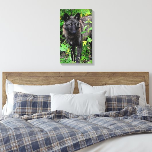 Zwarte Wolf Stretched Canvas Print (Insitu (Slaapkamer))