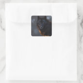 Zwarte wolf vierkante sticker (Tas)