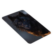 Zwarte Wolf, wolf, wild dier, dieren, grote wolf, Magneet (Rechterzijde)