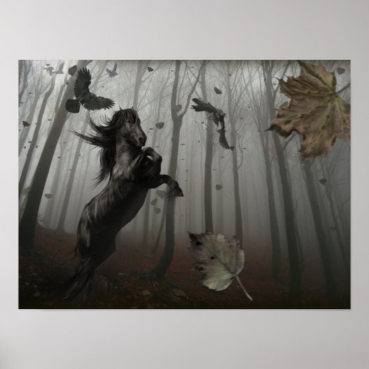 Zwarte Woud Poster (Voorkant)