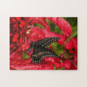 Zwarte zandstaart op rode bloempuzzel legpuzzel (Horizontaal)