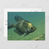 Zwarte zeeplap briefkaart (Voorkant / Achterkant)