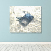 Zwarte zeeschelp canvas afdruk (Insitu (Houten vloer))