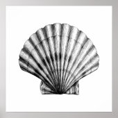 Zwarte ZeeShell Pilgrim Mussel Illustratie Poster (Voorkant)