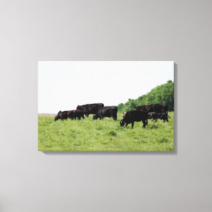 Zwarte Zeeslijpdoek Canvas Afdruk