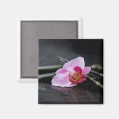 Zwarte zen orchidee magneet (Voorkant / Achterkant)