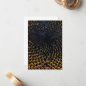 Zwarte zonnebloempitten notitiekaartje (Voorkant / Achterkant in situ)