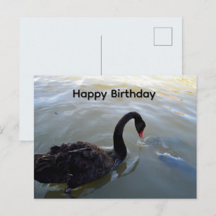 Zwarte Zwaan en grote vis, verjaardagsansichtkaart Briefkaart
