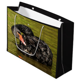 Zwarte Zwaan in de Vijver Large Cadeautasje