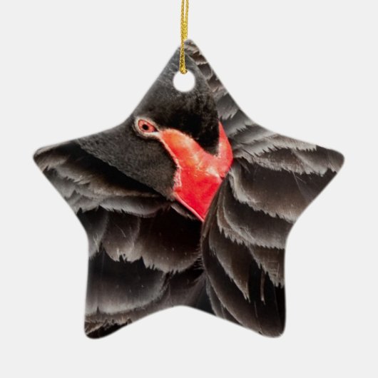 Zwarte zwaan in rust keramisch ornament (Voorkant)