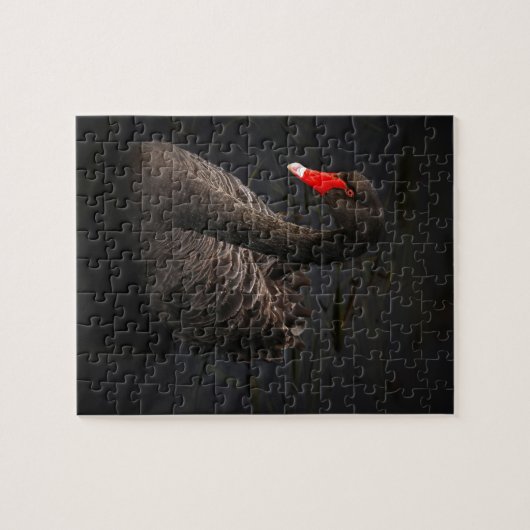 Zwarte zwaan legpuzzel (Horizontaal)