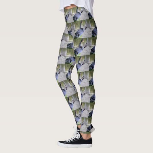 Zwarte Zwaan Met Baby's, Legging (Links)