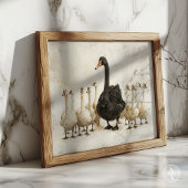 Zwarte zwaan onder witte zwanen Boerderij dierlijk Poster