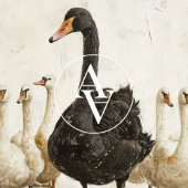 Zwarte zwaan onder witte zwanen Boerderij dierlijk Poster