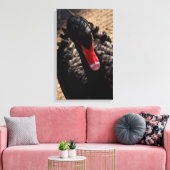 Zwarte zwaan sluit canvas print (Insitu (Woonkamer))