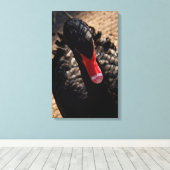 Zwarte zwaan sluit canvas print (Insitu (Houten vloer))