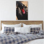 Zwarte zwaan sluit canvas print (Insitu (Slaapkamer))