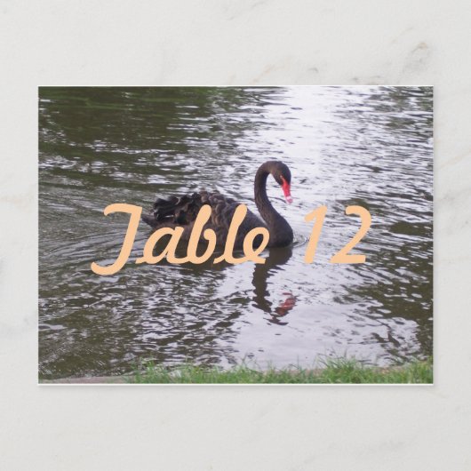 Zwarte Zwaan Tafelnummer (Voorkant)