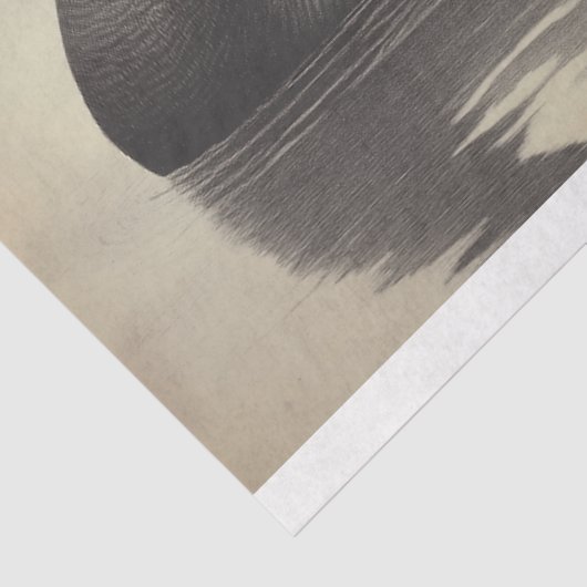 Zwarte Zwaan Waterverf Decoupage Vogelillustratie Tissuepapier (Detail)