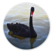 Zwarte zwaddruppeltjes in de hond, keramische knop (Voorkant)