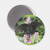 Zwarte zwaluwstaart 67 ~ magneet (Voorkant / Achterkant)