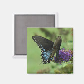 Zwarte zwaluwstaart 9.05-1 magneet (Voorkant / Achterkant)