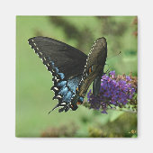 Zwarte zwaluwstaart 9.05-1 magneet (Voorkant)