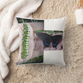 Zwarte zwaluwstaart Caterpillar / vlinder Kussen