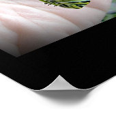 Zwarte zwaluwstaart Caterpillar / vlinder Poster (Hoek)