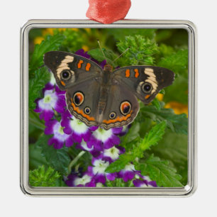 Zwarte Zwaluwstaart Metalen Ornament