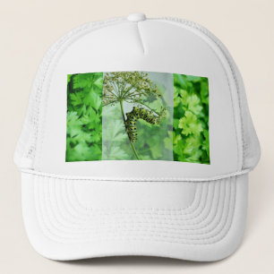Zwarte zwaluwstaart rups eten peterselie trucker pet