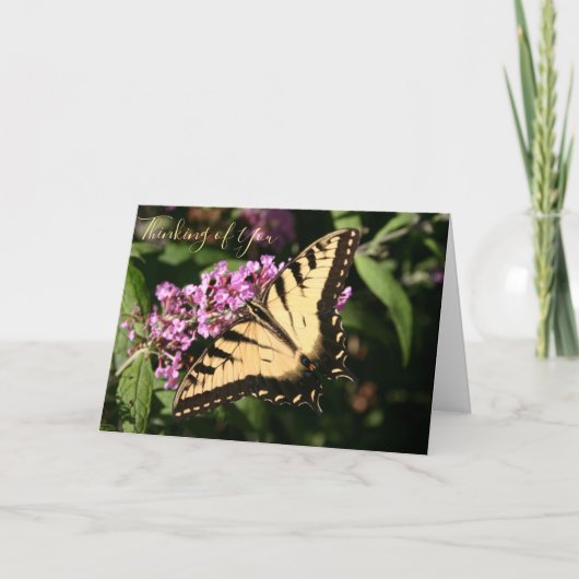 Zwarte Zwaluwstaart Vlinder Kaart (Voorkant)