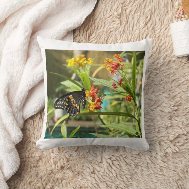 Zwarte zwaluwvlinder #2 kussen (Deken)