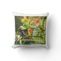 Zwarte zwaluwvlinder #2